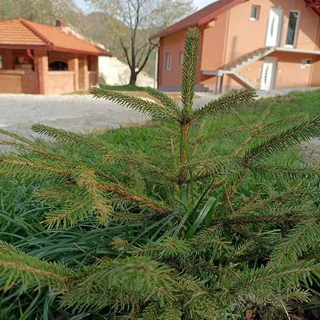 Oaza Mira Šipovo