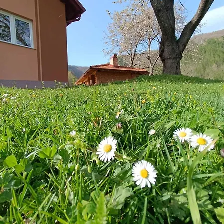 Casa vacanze Oaza Mira *