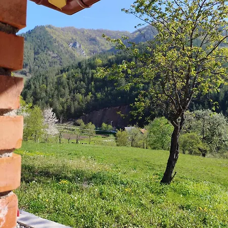 Oaza Mira Σπίτι διακοπών *